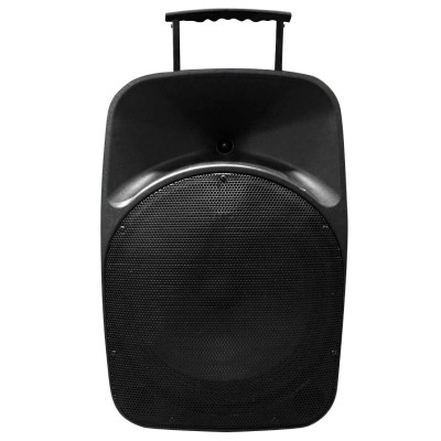 Portable Speaker 224 (12" Woofer)