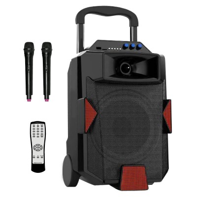 Portable Speaker 4020,  2 Wireless Microphone